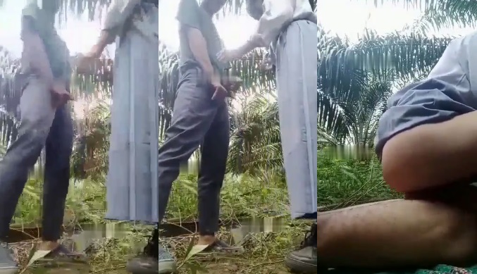 Cặp Đôi Trẻ Trốn Học Ra Vườn Cọ Làm Tình Nóng Bỏng